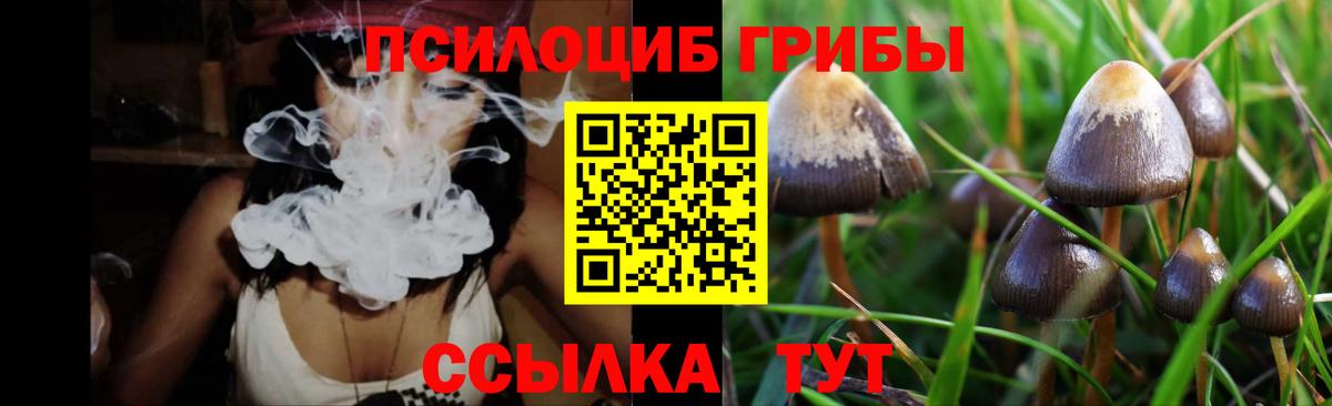Псилоцибиновые грибы мицелий  Вход с VPN  Новокубанск 